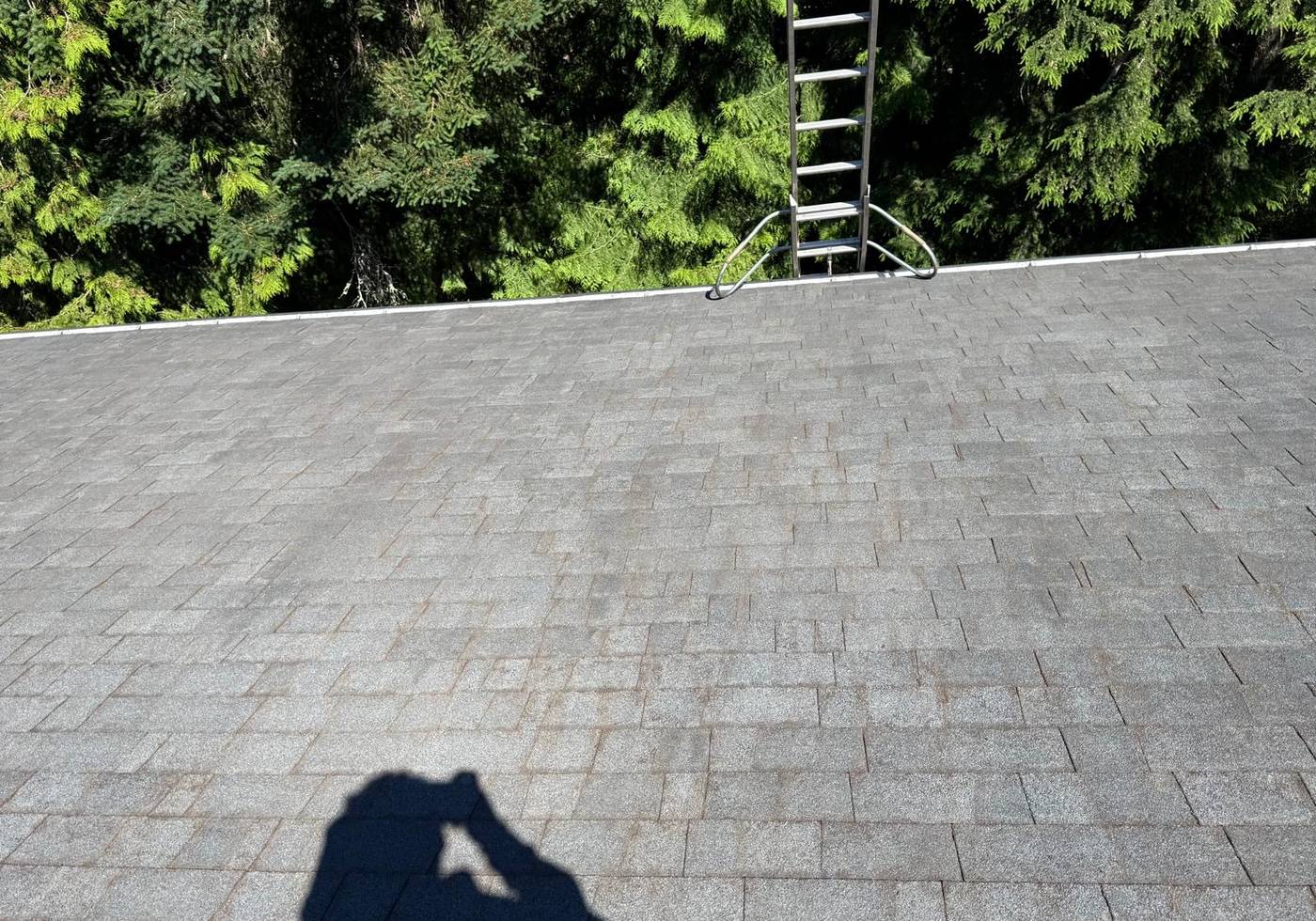 The same roof clear of moss after cleaning