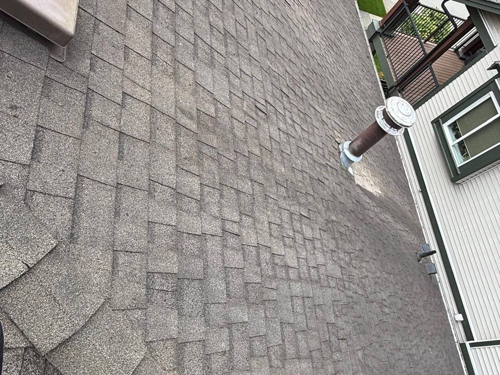 A cleaned roof and tidy home exterior