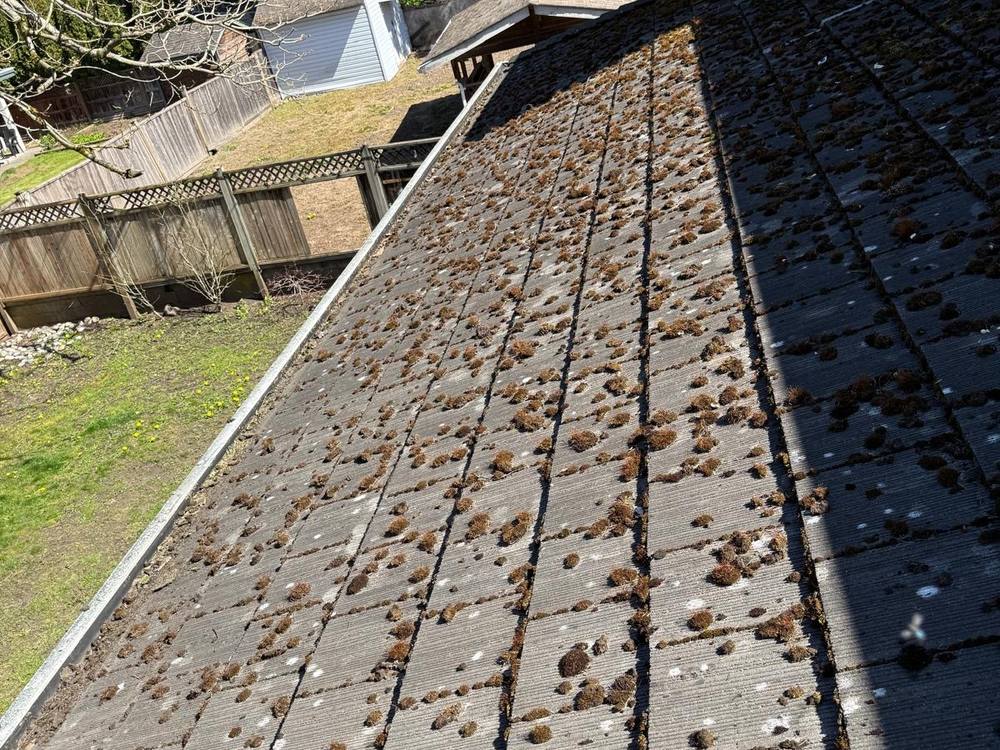A tile roof covered in moss growth